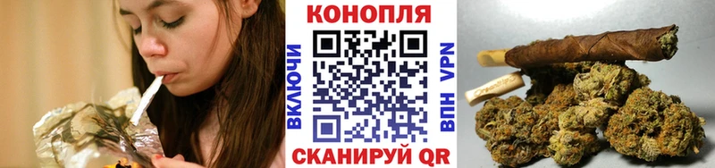 хочу   Зеленодольск  Конопля гибрид 